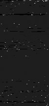 MTVZA-24.png